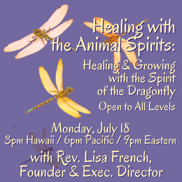 Healing with the Animal Spirits: Spirit of the Dragonfly - Clairvoyant  Center of Hawaii