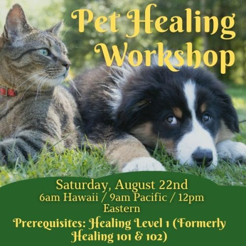 Pet Healing Workshop
