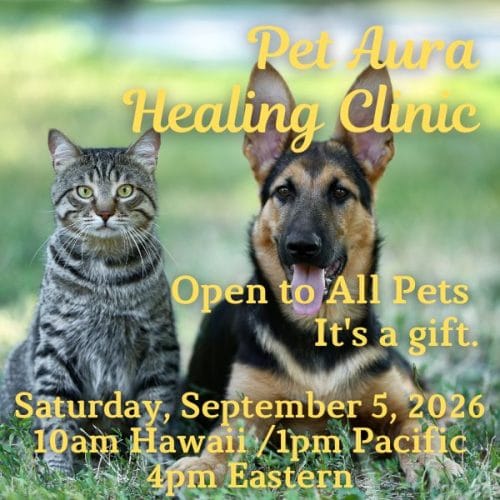 September Pet Healing Clinic
